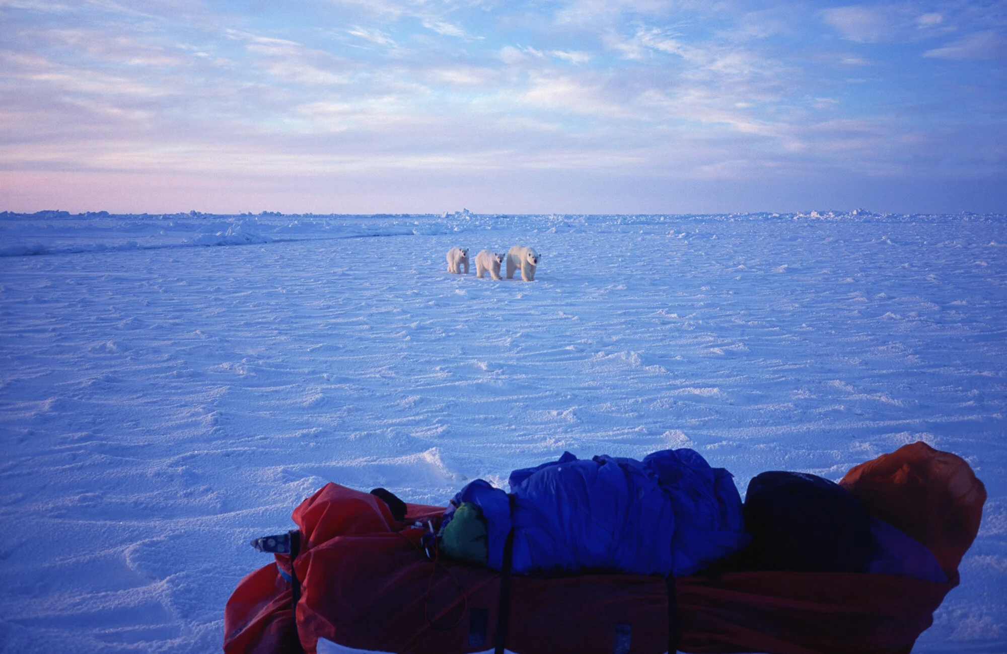 洋書 Borge Outland The Great Polar Journey Børge Ousland | Helsport